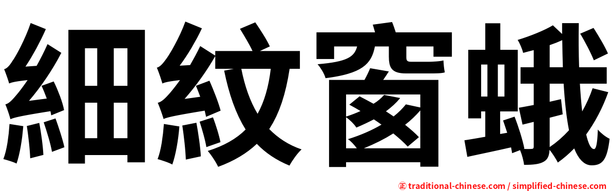 細紋窗蛾