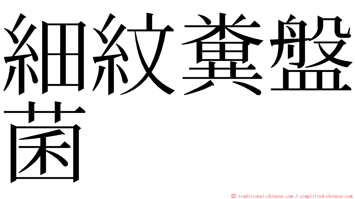 細紋糞盤菌 ming font