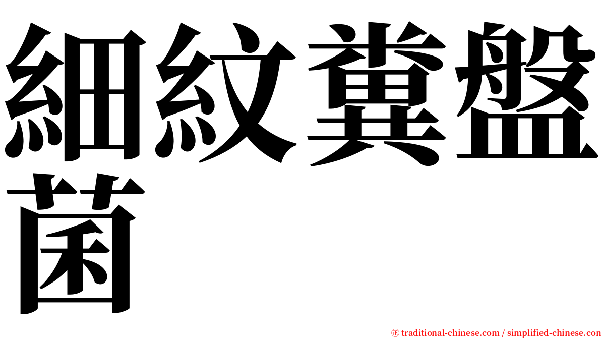 細紋糞盤菌 serif font