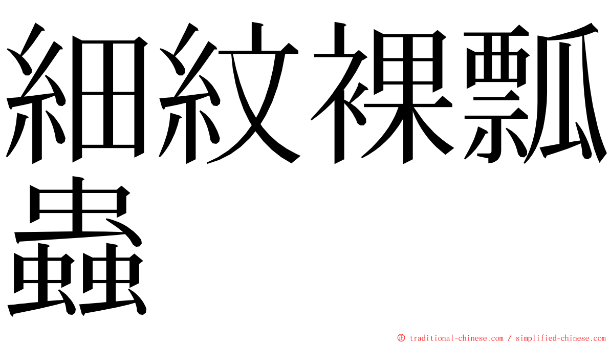 細紋裸瓢蟲 ming font