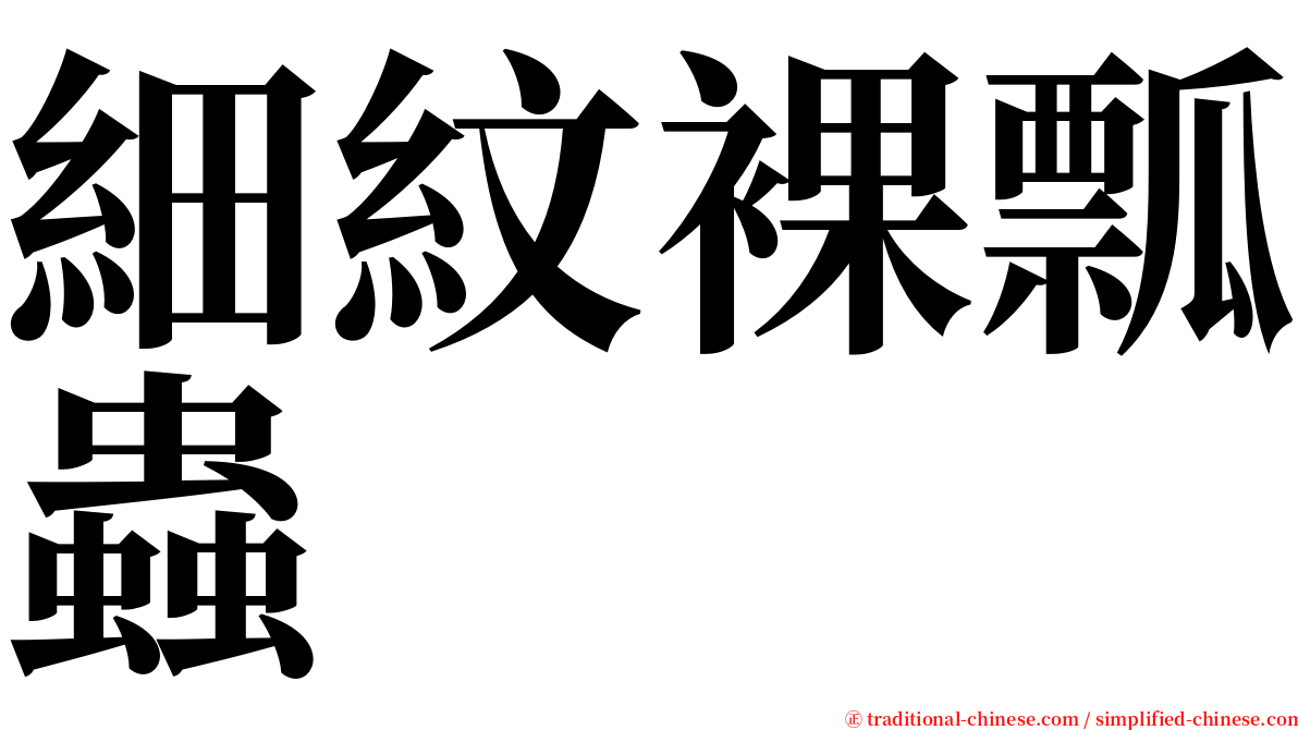 細紋裸瓢蟲 serif font