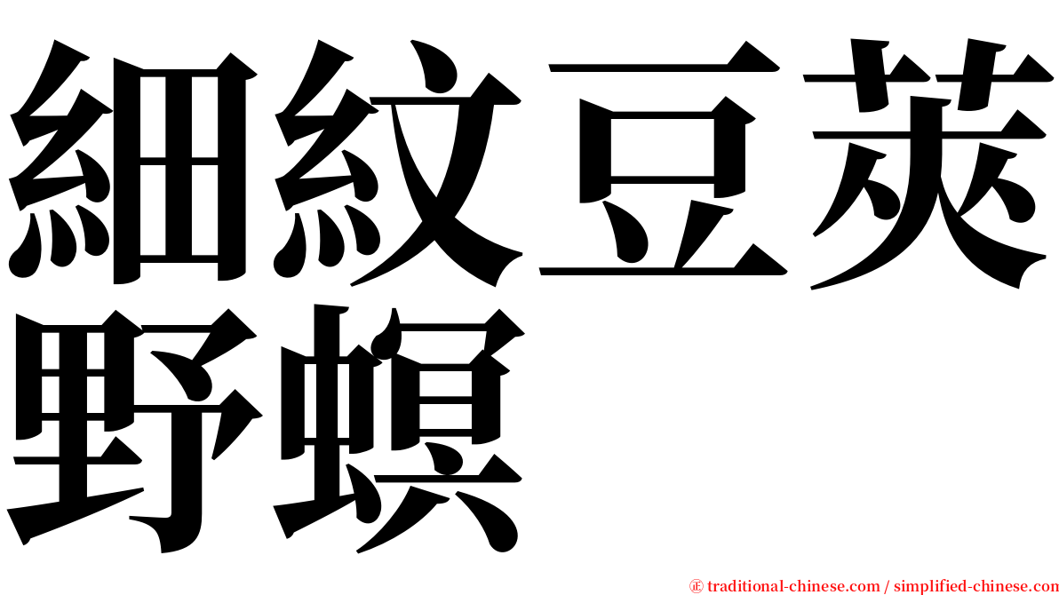 細紋豆莢野螟 serif font