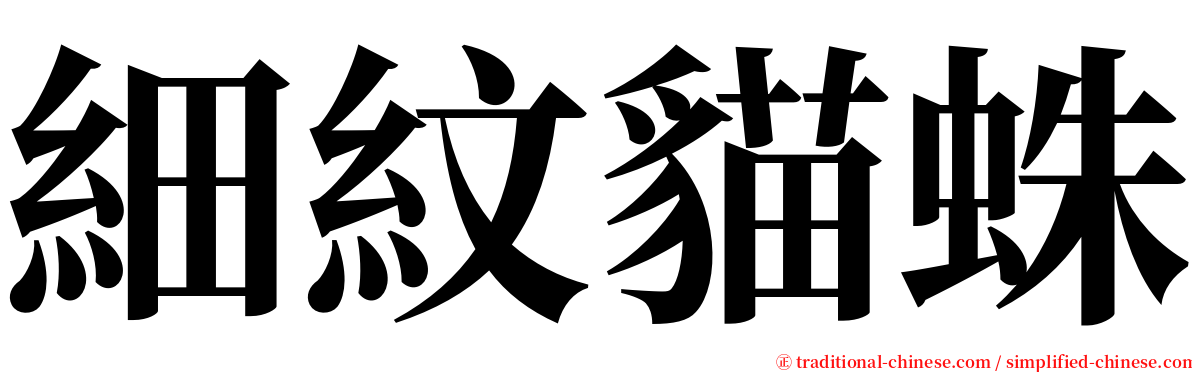 細紋貓蛛 serif font