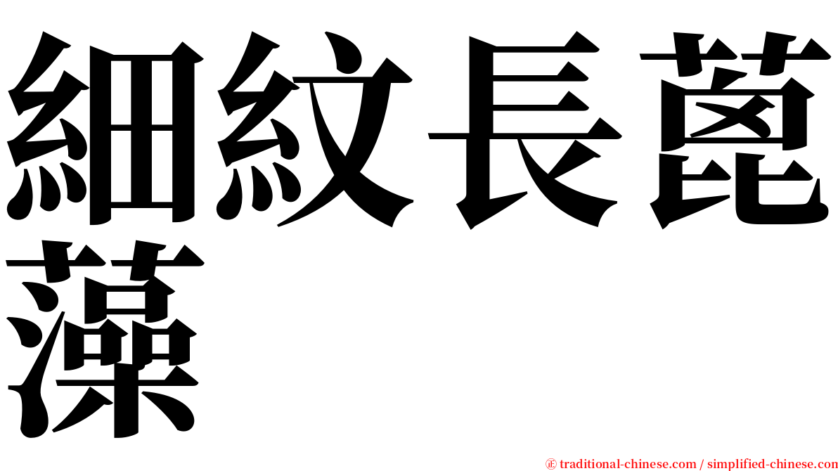 細紋長蓖藻 serif font