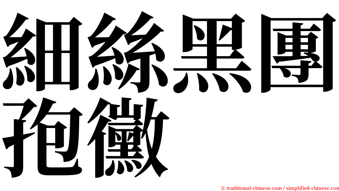 細絲黑團孢黴 serif font