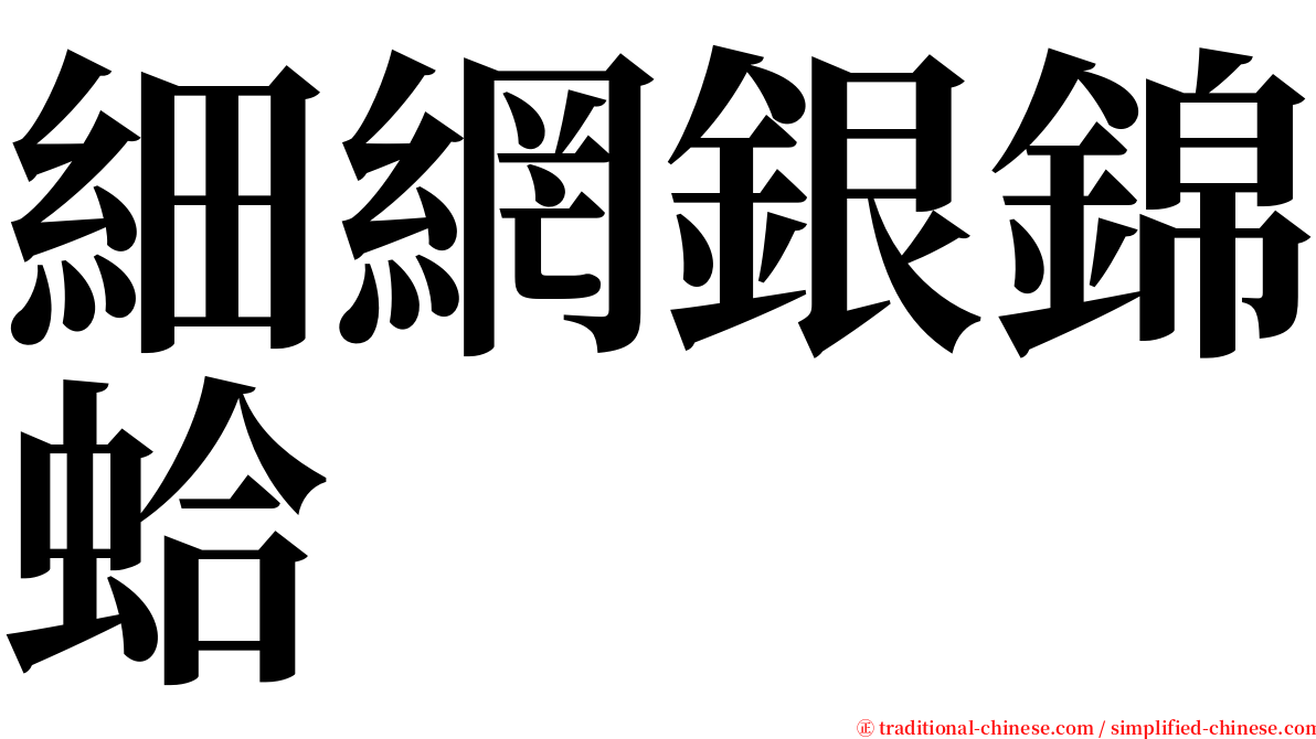 細網銀錦蛤 serif font