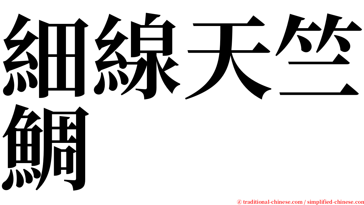 細線天竺鯛 serif font