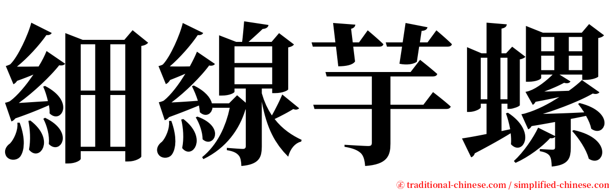 細線芋螺 serif font