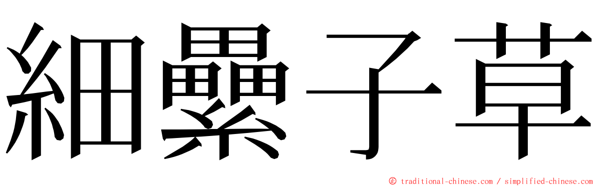 細纍子草 ming font