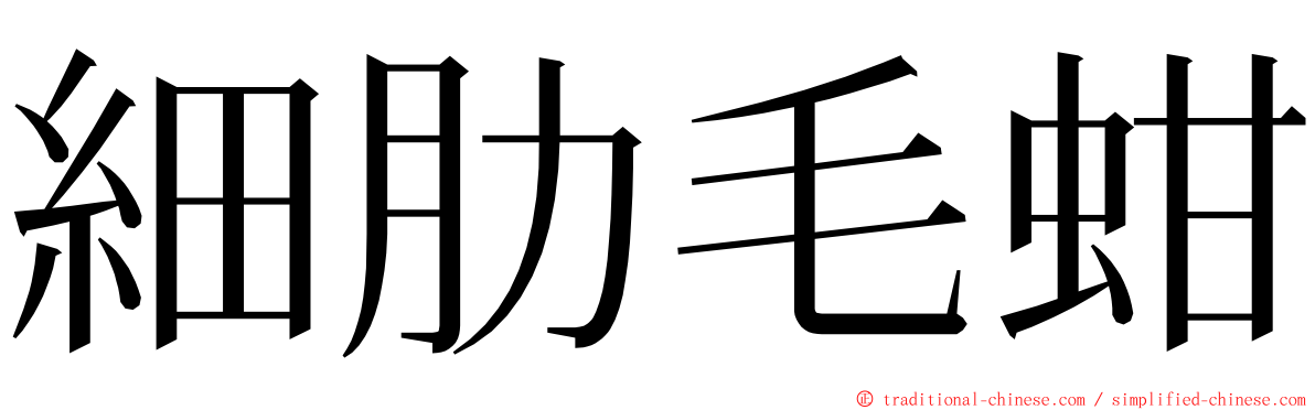 細肋毛蚶 ming font