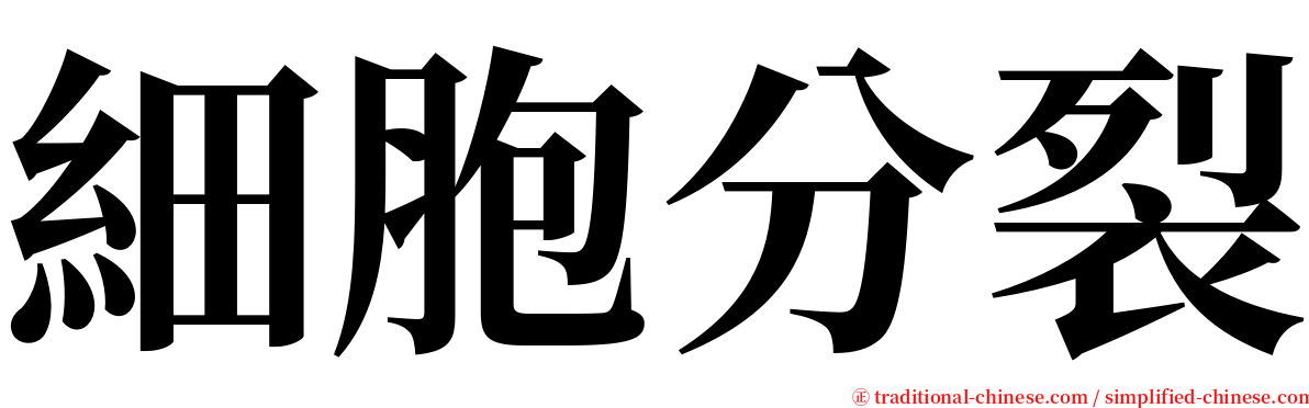 細胞分裂 serif font