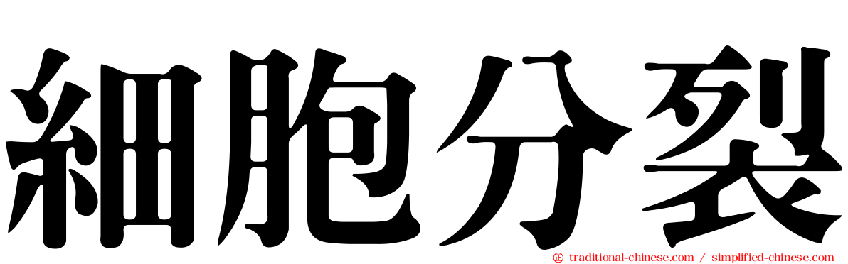 細胞分裂