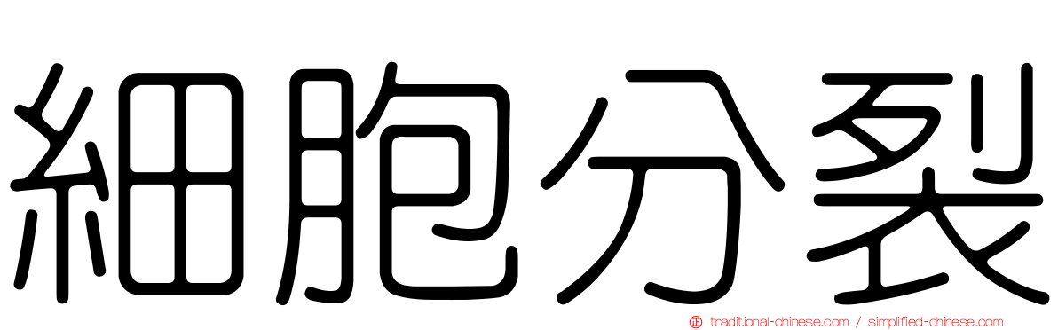 細胞分裂