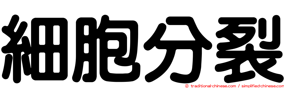 細胞分裂