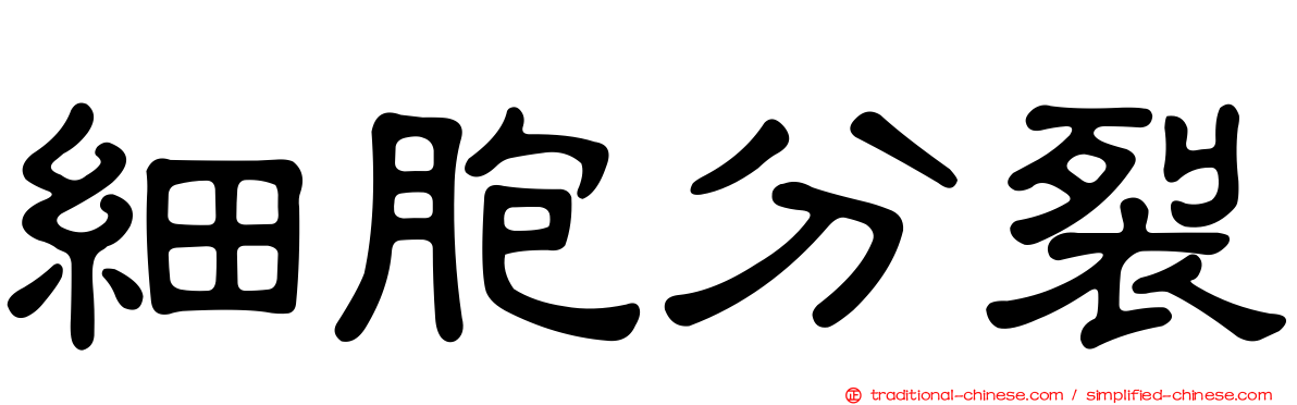 細胞分裂