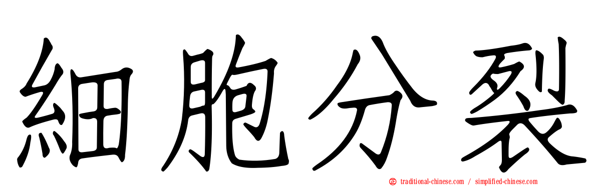 細胞分裂