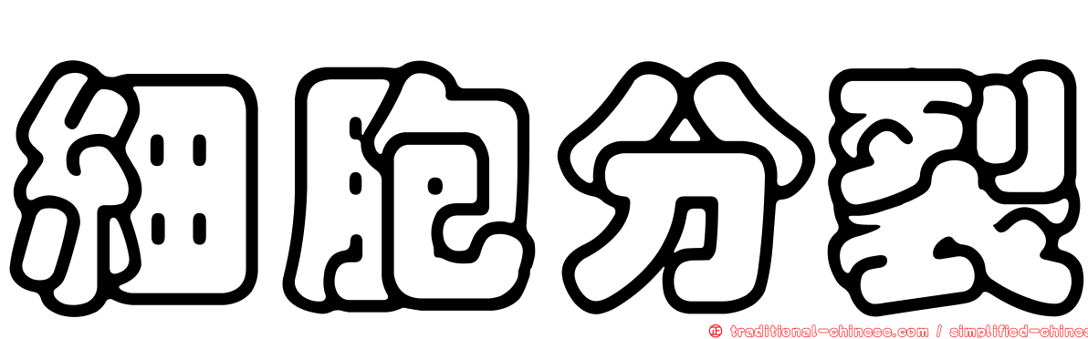 細胞分裂
