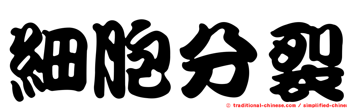 細胞分裂