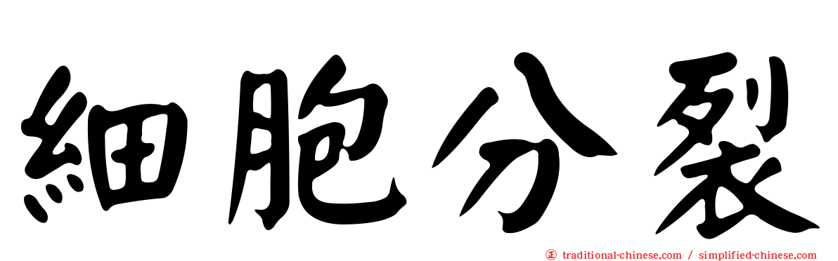 細胞分裂