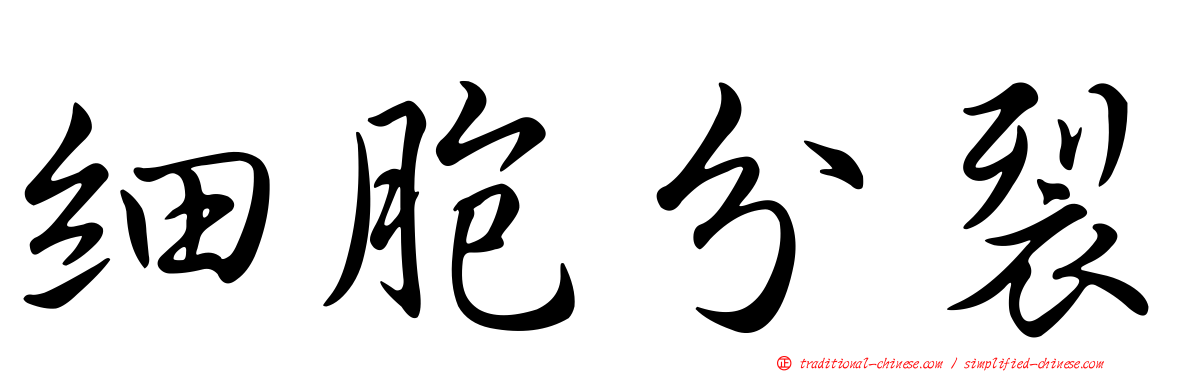 細胞分裂