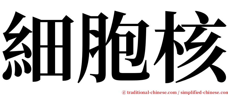 細胞核 serif font