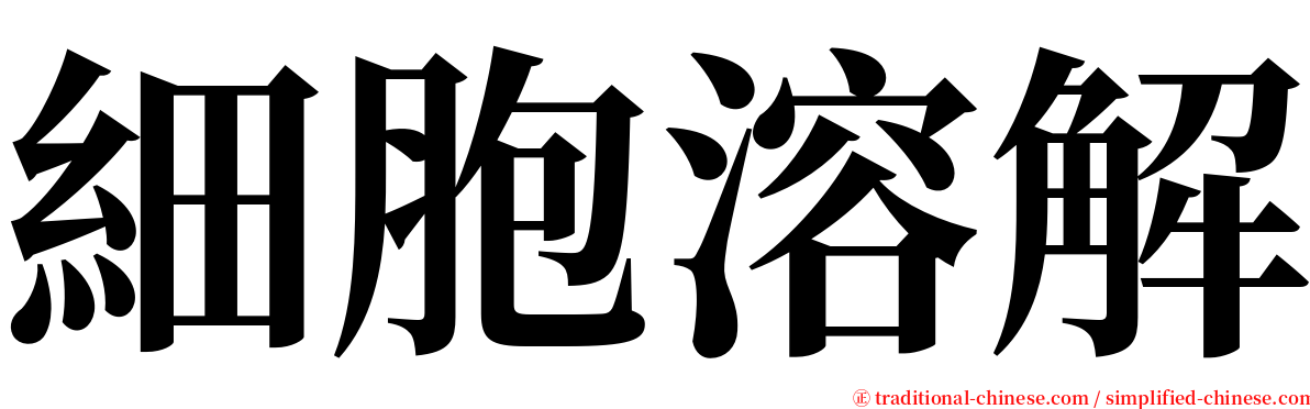 細胞溶解 serif font