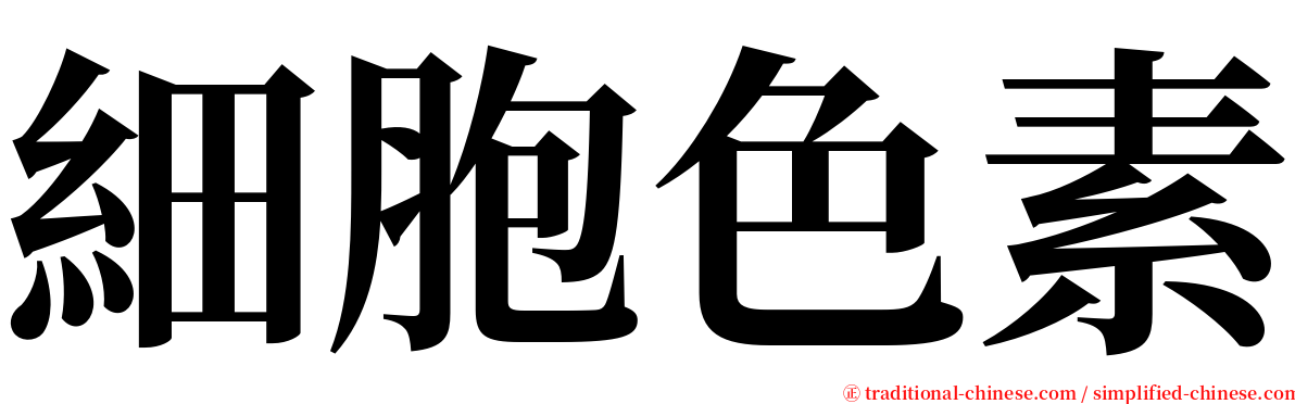 細胞色素 serif font