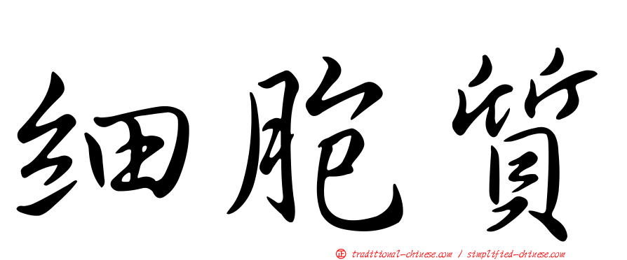 細胞質