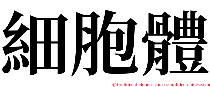 細胞體 serif font