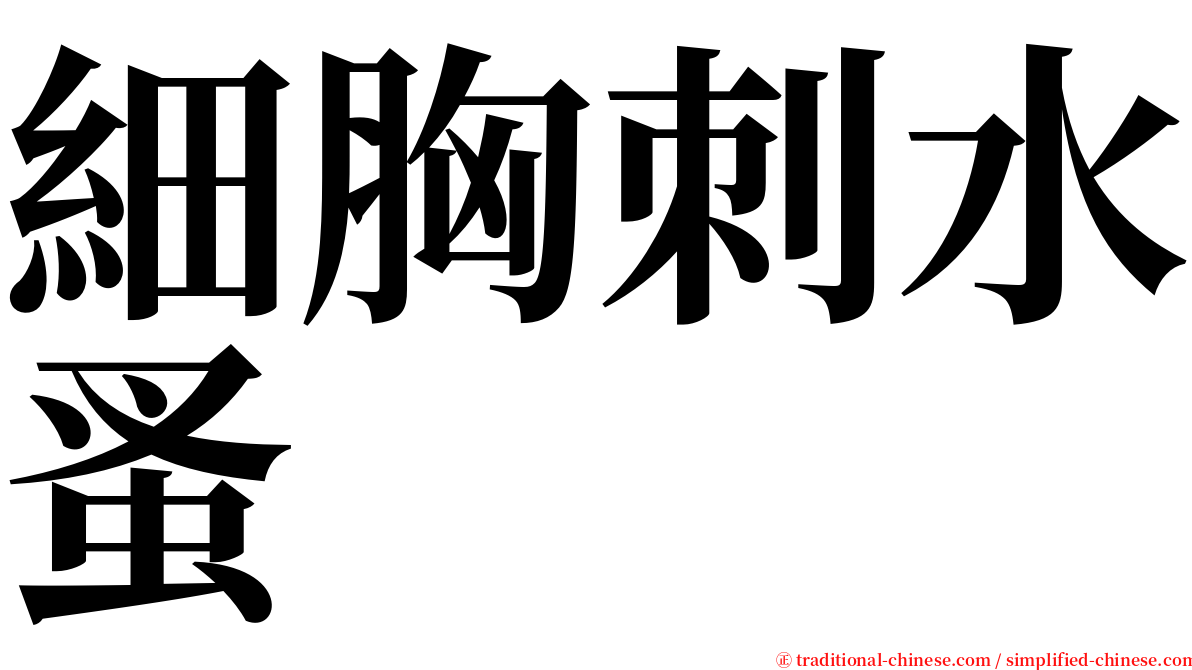 細胸刺水蚤 serif font