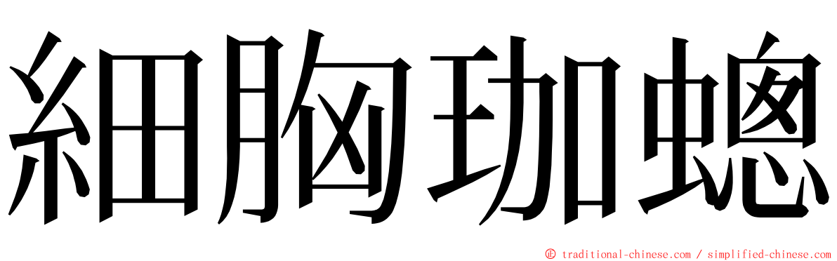 細胸珈蟌 ming font