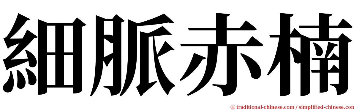 細脈赤楠 serif font