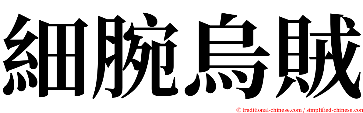 細腕烏賊 serif font