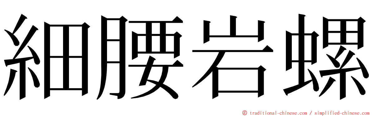 細腰岩螺 ming font