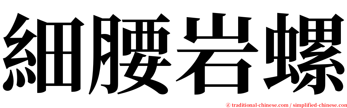 細腰岩螺 serif font