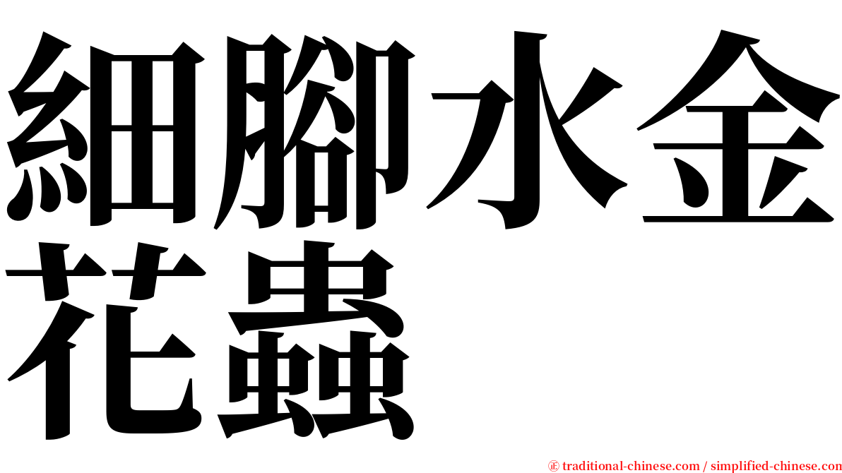 細腳水金花蟲 serif font