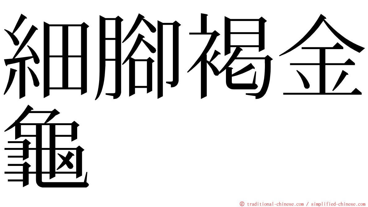 細腳褐金龜 ming font