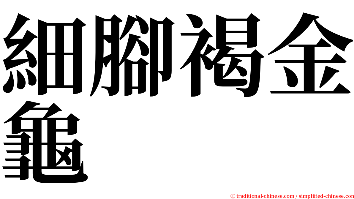 細腳褐金龜 serif font