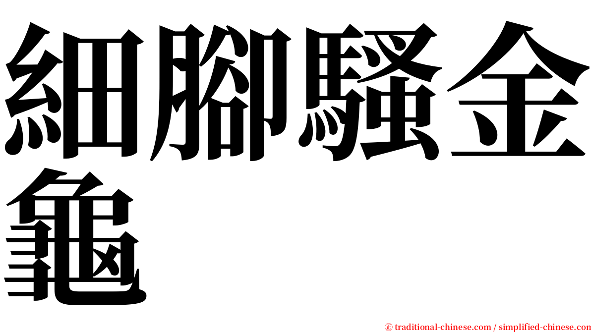 細腳騷金龜 serif font