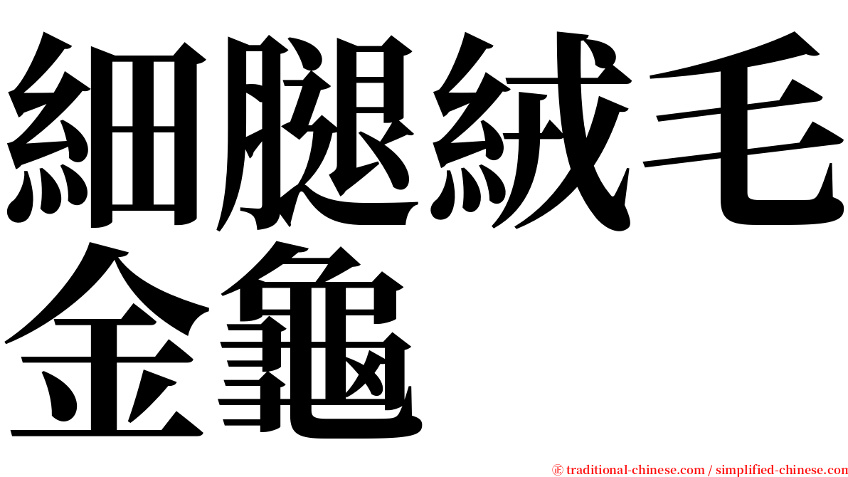 細腿絨毛金龜 serif font