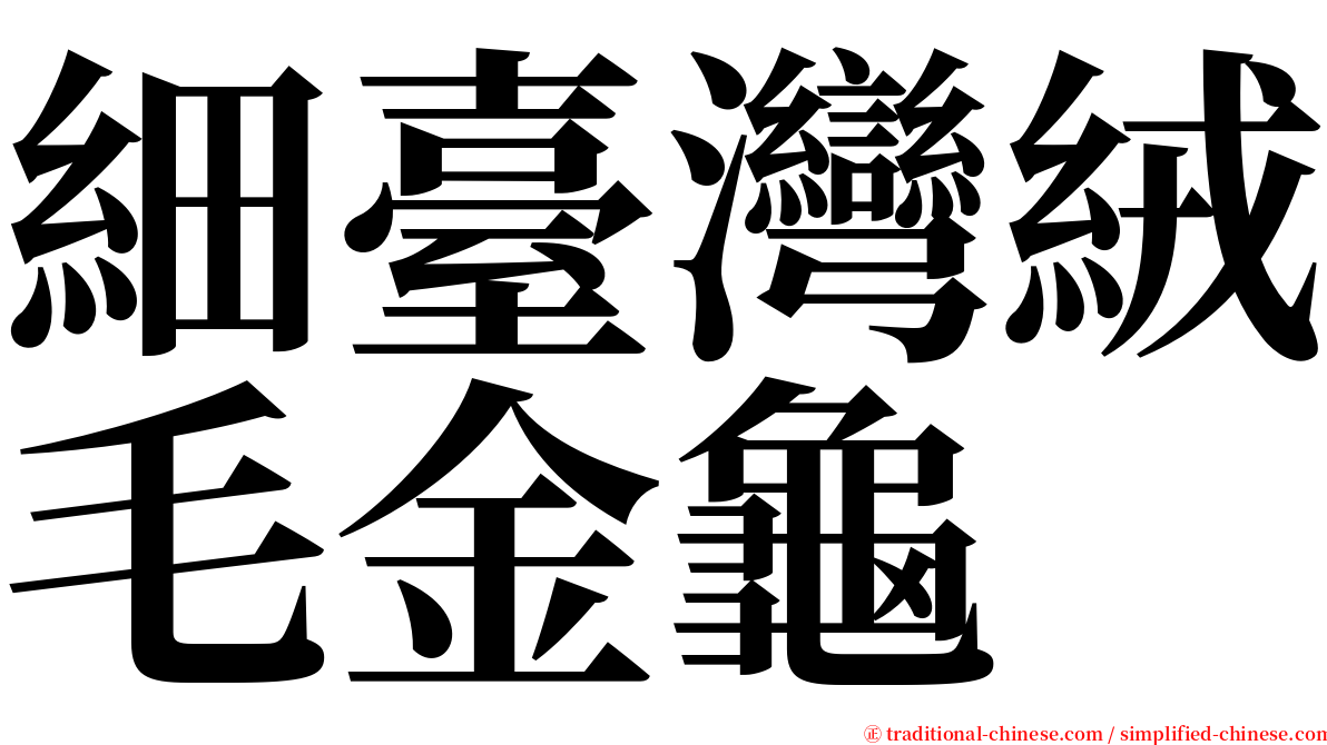 細臺灣絨毛金龜 serif font