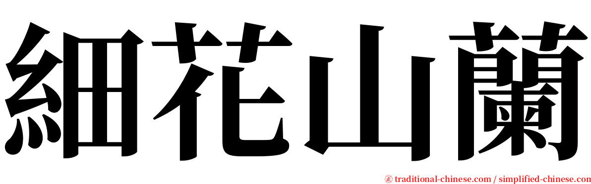 細花山蘭 serif font