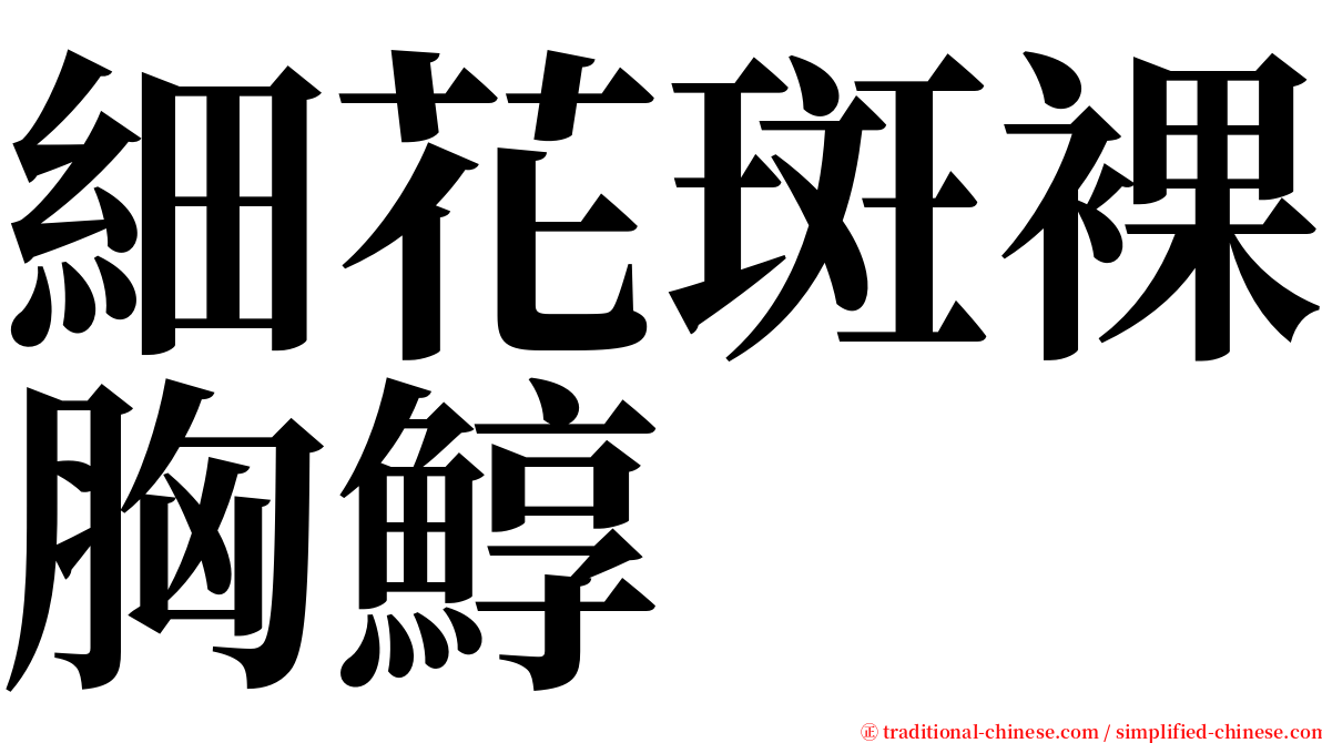 細花斑裸胸鯙 serif font