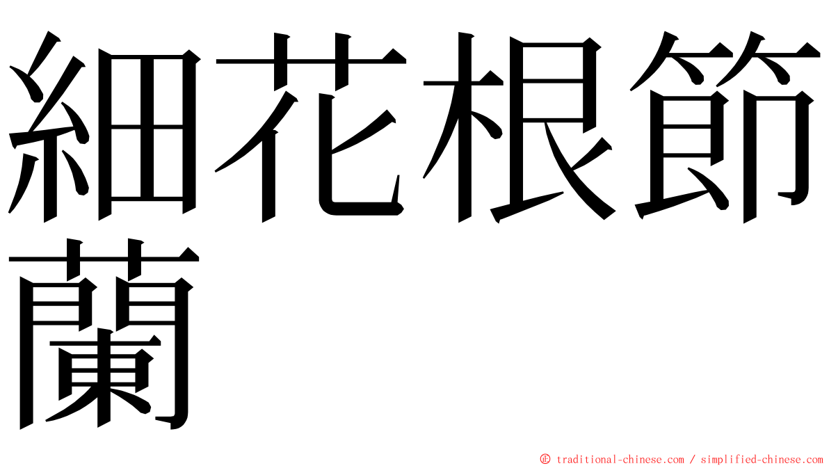 細花根節蘭 ming font