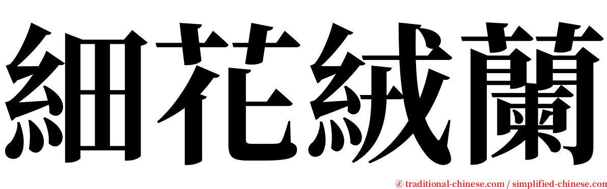 細花絨蘭 serif font