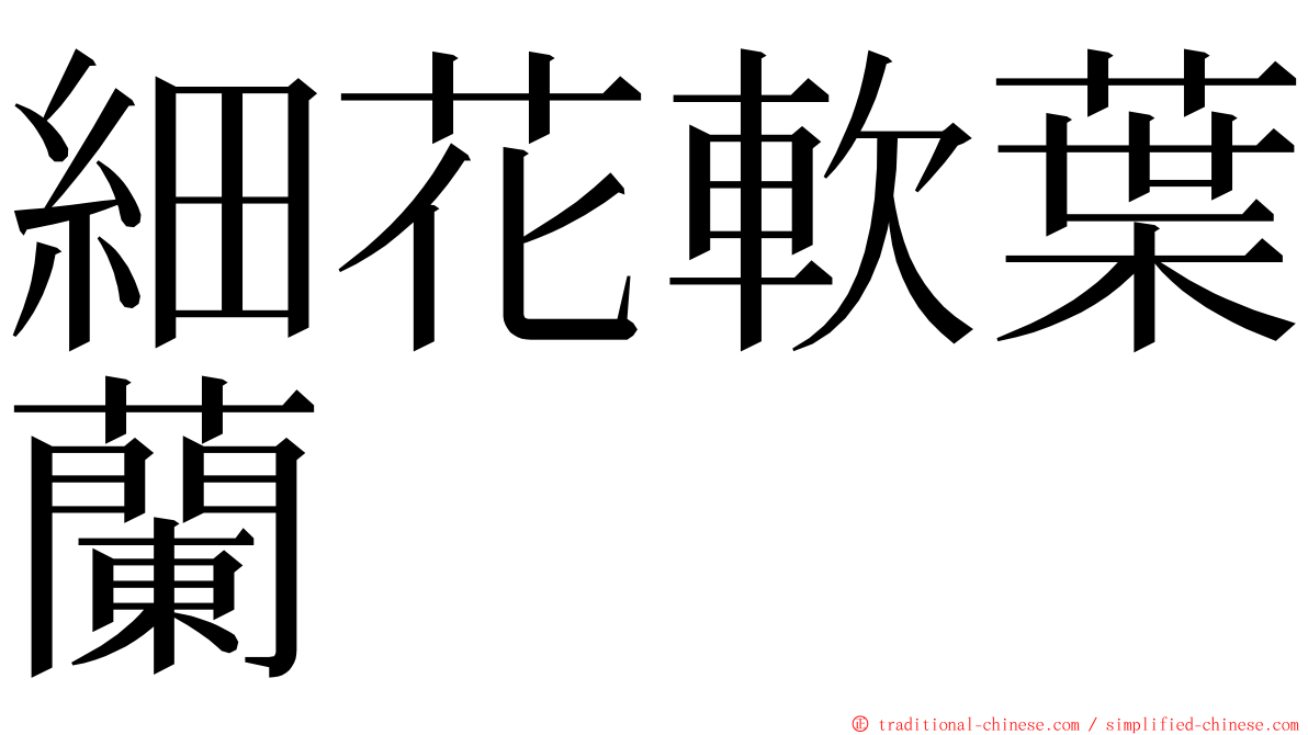 細花軟葉蘭 ming font