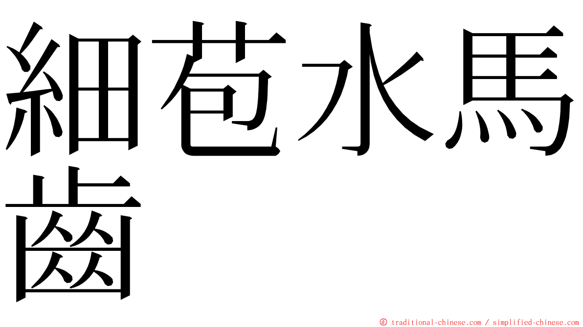 細苞水馬齒 ming font