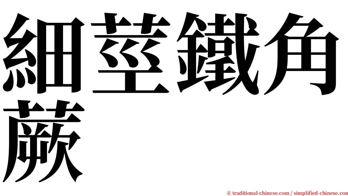 細莖鐵角蕨 serif font