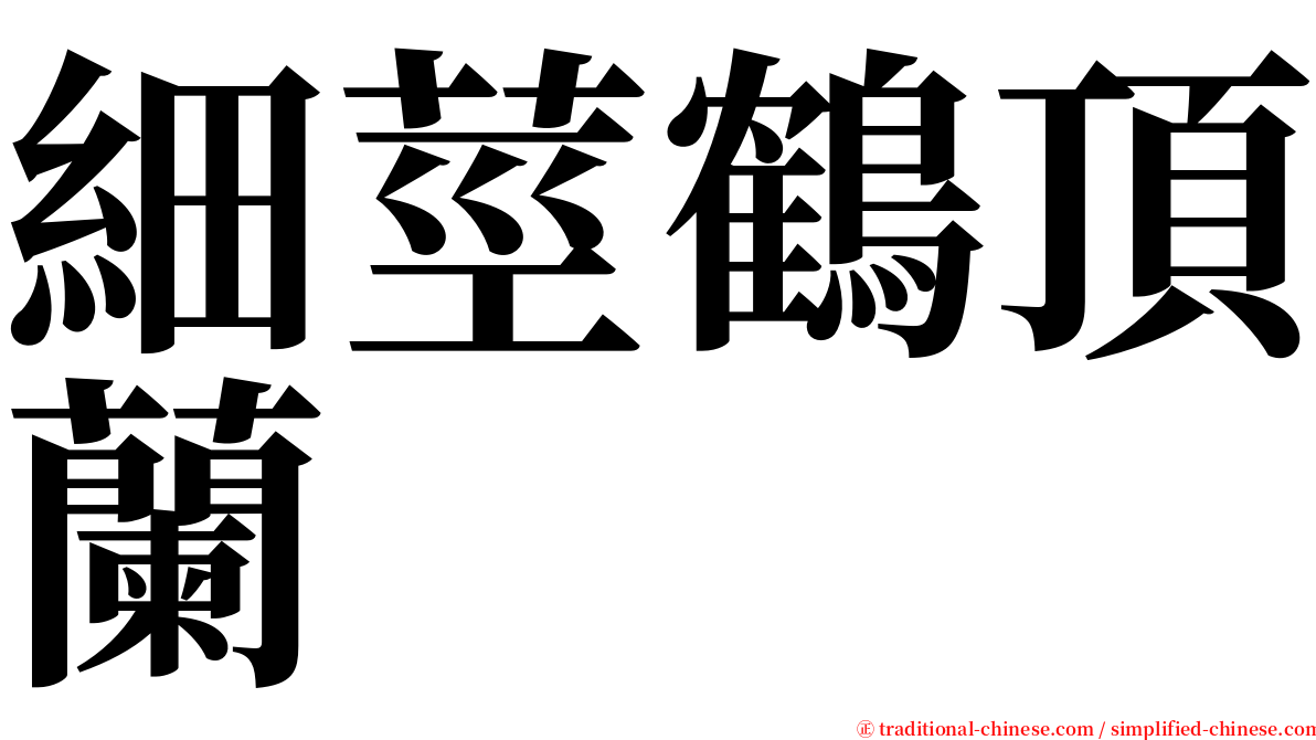 細莖鶴頂蘭 serif font