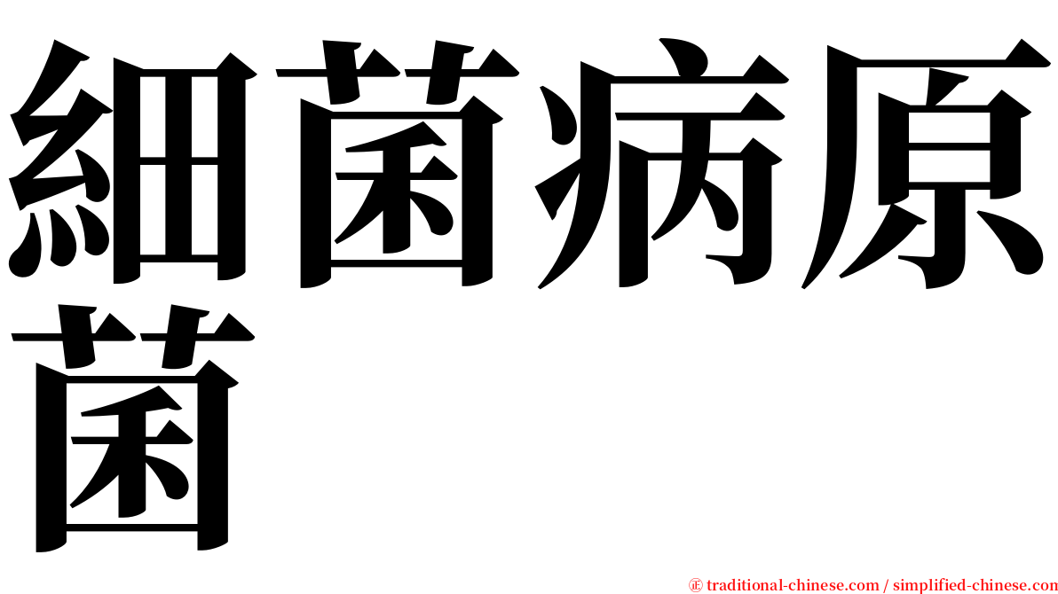 細菌病原菌 serif font